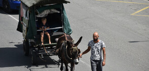 Дом на колела: Семейство с четири деца пътува от Франция за Палестина с каруца (ВИДЕО+СНИМКИ)