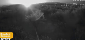 Пожар, метеор или паднал дрон: Необичайна светлина стресна Севлиево (ВИДЕО)
