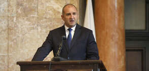 Bulgaria's President refers termination of concession of Port Rosenets to Constitutional Court