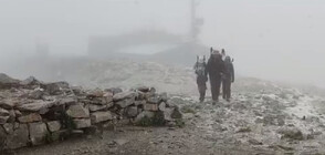 Snow fell on Musala peak (VIDEO)