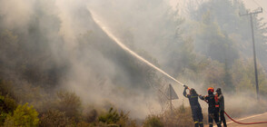 САМО ЗА ДЕН: 61 нови пожара избухнаха в Гърция (ОБЗОР)