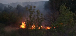 Отмениха бедственото положение в Хасковско, продължава гасенето на пожара край Дъбовец (ВИДЕО)