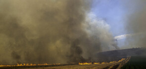 Пожарите в Гърция: Приключи евакуацията в Неа Анхиалос след взрив на складове