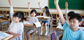 Тайните на японската образователна система, гарантиращи успех в живота (ГАЛЕРИЯ)