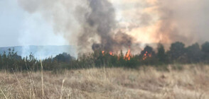 Има ли все още активни пожари в Хасковско