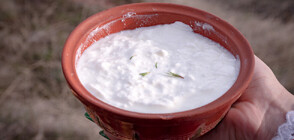 Европа призна киселото ни мляко: Как да си го приготвим по традиционна рецепта