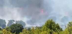 Пожарът в Ивайловград все още не потушен