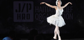 Грация и невероятен талант: Наталия Осипова - звездата на руския балет