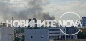 Пожар край Източната тангента в София (СНИМКИ)