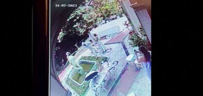 В ОПИТ ДА СЕ СНИМАТ: Германски туристи потрошиха 150-годишна статуя в Италия (ВИДЕО)