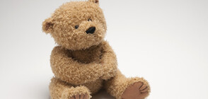 Уникално плюшено мече на 118 години отива на търг (СНИМКИ)