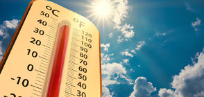 Над 45 градуса скочиха термометрите на места в Испания (ВИДЕО)