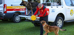 СЕДМИЦА НА СПАСИТЕЛНИТЕ АКЦИИ: ПСС Банско получи бус за кучета спасители