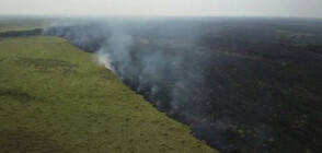 Кадри от въздуха показват мащаба на пожарите в Боливия (ВИДЕО)