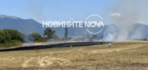 Запалена машина предизвика пожар близо до Подбалканския път (СНИМКИ)