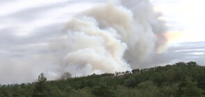 Пожар затвори пътя към Слънчев бряг, гори гора край бургаски села (ВИДЕО)