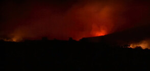 Пожарът в Бургаско е локализиран и овладян