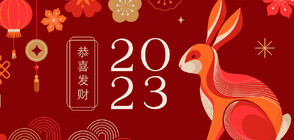 2023 г.: Любопитни подробности за годината на Водния заек
