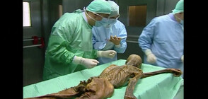 Ново геномно проучване показва, че Леденият човек Йоци най-вероятно е бил плешив (ВИДЕО)