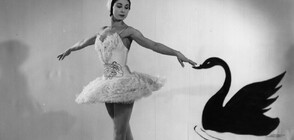 Удивителната история на примабалерината на Кралския балет Марго Фонтейн