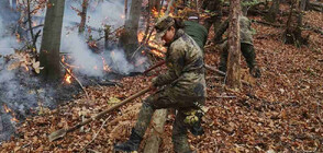 Бедствено положение: Пожарът в Хасковско гори на фронт от 15 км