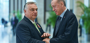 Ердоган и Орбан обсъдиха енергийната сигурност и присъединяването на Швеция към НАТО