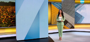 Новините на NOVA (21.08.2023 - 9.00)