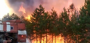 Пожарът в Свиленградско се разрасна на над 15 хиляди декара