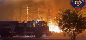 Вижте пожарите в щата Вашингтон през очите на пожарникарите (ВИДЕО)
