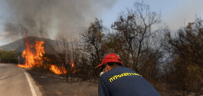 Българи - в опасна близост до бушуващите пожари в Гърция