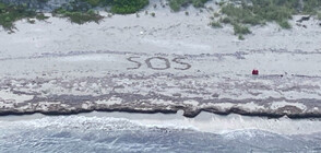 Бреговата охрана на САЩ спаси мъж, попаднал на безлюден остров за 3 дни (ВИДЕО)