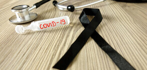 Смъртността в България вследствие на COVID-19 - значително по-висока от световната