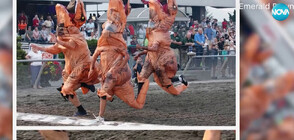 Фотофиниш излъчи победителя в динозавърско надбягване във Вашингтон