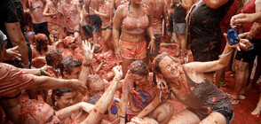 Битка с домати превзе испански град заради фестивала "Томатина" (ВИДЕО)