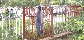 Преди срещата на Г-20: Картонени фигури на лангури се появиха в Делхи (ВИДЕО)