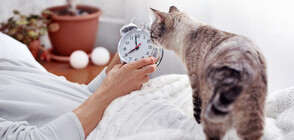 10 начина да се научим да ставаме рано (ГАЛЕРИЯ)