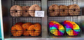 Гевреци от филц: Уникална изложба отваря врати в Ню Йорк (ВИДЕО)