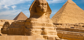 Любопитни факти за египетските сфинксове