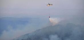 "Мегапожар" в Гърция, изпепелил над 81 000 хектара, е овладян