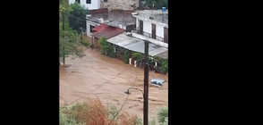 Поройни дъждове в Гърция: Мъж е загинал, друг се издирва (СНИМКИ)