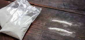 Разпръснат сред банани: Заловиха един тон кокаин в пратка в Еквадор (СНИМКИ)