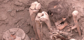 Откриха мумия на над 1000 години в Перу (ВИДЕО)