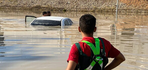 ЕК отпусна 500 000 евро в помощ на Либия