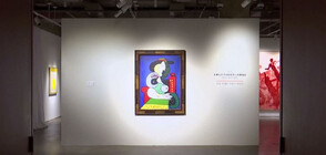 Продават за 120 млн. долара портрет на любовницата на Пикасо (ВИДЕО)