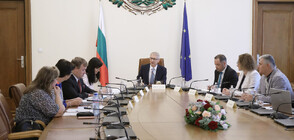 Разкриват още 453 места в кризисните центрове за пострадали от насилие