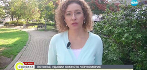 СЛЕД ПОТОПА В ЦАРЕВО: МС ще гласува помощ на близките на загиналите в размер на 15 000 лв.