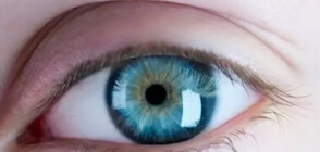 Истини и митове за сините очи