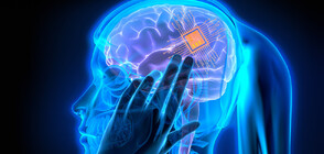 Компания на Мъск започва разработване на мозъчен имплант (ВИДЕО)