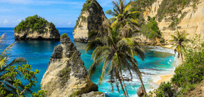 За чужденци: Бали въвежда туристическа такса от февруари 2024 г.