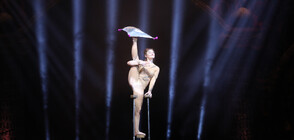 Най-добрите циркови артисти са в София (СНИМКИ)